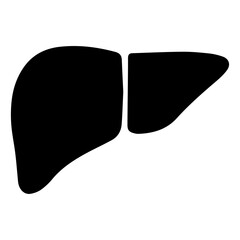 Human Liver Anatomy Detailed Illustration of Liver Structure