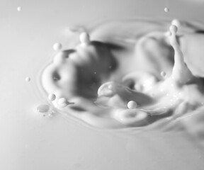 Close up shot of splashing fresh cow milk as background