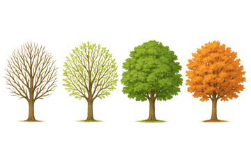 Seasonal trees vector illustration showing autumn spring summer and winter nature landscape concept design on transparent background