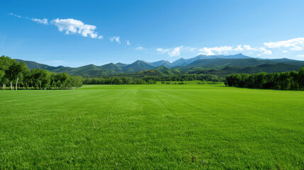 A large, open field with a clear blue sky