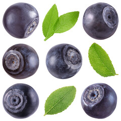 Fresh bilberries and green leaves isolated on white, set