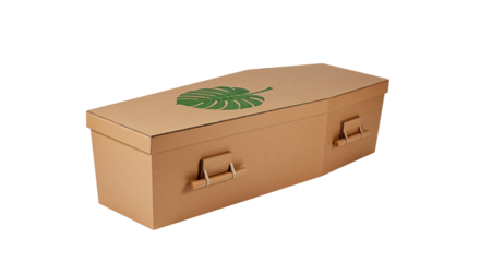  cardboard eco-coffin with hand-painted green leaf on top, minimal white background, eco funeral concept presentation