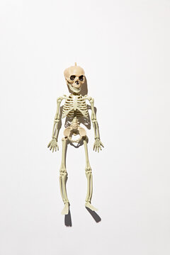 Plastic skeleton on a white background, perfect for Halloween or medical projects.