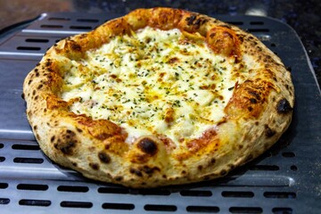 The best pizza in the world, chicken pizza with creamy catupiry cheese. Traditional Brazilian pizza