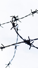 A sharp, silhouetted barbed wire detail against a bright, featureless sky backdrop
