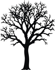 Bare Tree Silhouette with Branches, Gothic, Leafless Vector Art
