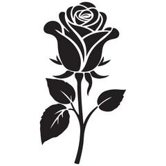 Black rose vector illustration with floral design and decorative botanical elements