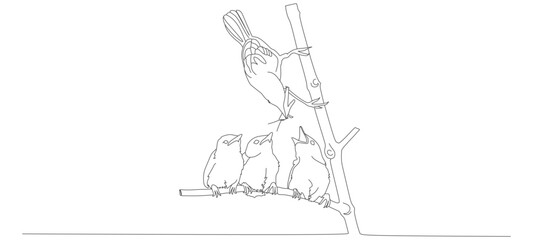 continuous line vector design of mother bird feeding baby bird