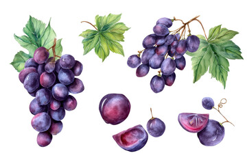 Obraz premium Grape flat-lay display pure transparent BG