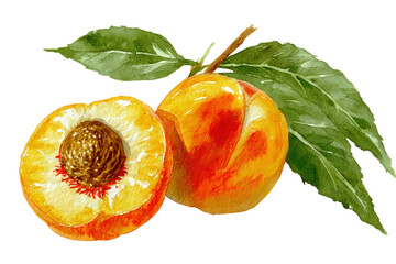 Glossy peach watercolor emblem on no background ideal for boutique gelato shop stickers