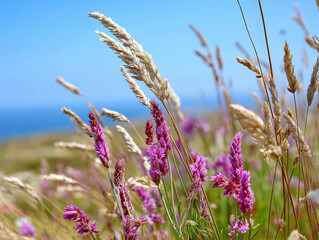 Obraz premium Colorful wildflowers bloom in a sunny field by the ocean on a clear day