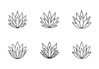 Fototapeta premium set of agave icon line art vector illustration