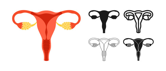 Female reproductive system symbol set. Anatomical uterus womb organ sign on white background. Drawing human woman uterus gynecology medical diagnostic education stylized design vector illustration