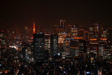 東京の夜景