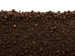 Dark brown humus soil with small pebbles and organic matter top view isolated on a transparent background