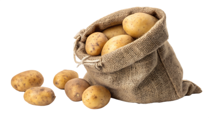 Burlap sack overflowing with ripe potatoes spilling onto a surface isolated on a transparent background