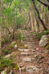 三重県熊野市　楯ヶ崎の柱状節理