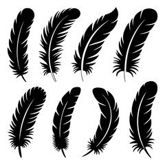 Obraz premium Unique and good quality Feather shapes silhouette set
