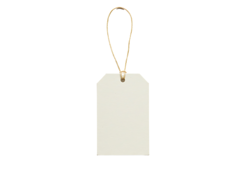 Blank kraft paper gift tag with string and clip isolated on transparent background