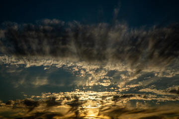 夏の奄美大島の朝の風景。