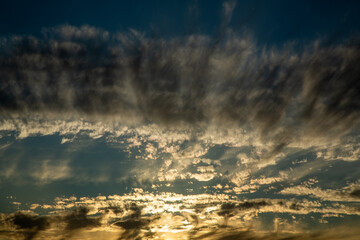夏の奄美大島の朝の風景。
