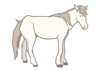 野間馬　馬　芦毛　日本の馬