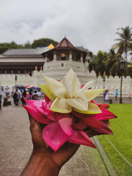 temple fo the tooth in sri lanka 