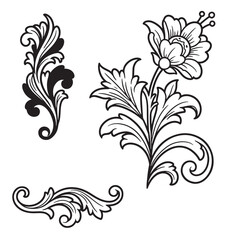 Elegant vector illustration of ornate flourishes and botanical elements in black and white
