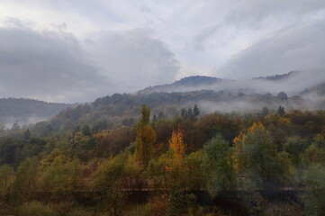 Foggy mountain landscape with a dense autumn forest. Moody and atmospheric scenery with mist...