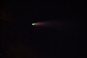 Comet NEOWISE Soaring Above Silhouetted Trees at Night
