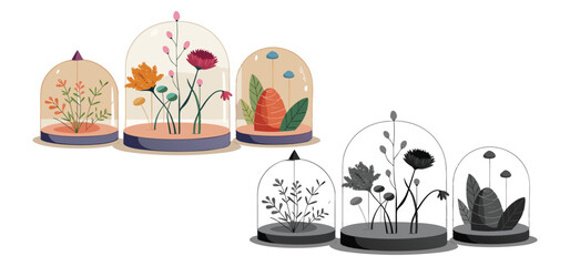 Beautiful decorative botanical illustrations of flowers and plants inside glass terrariums