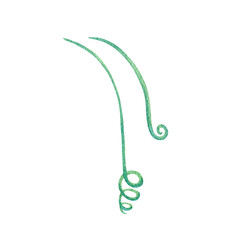Obraz premium Green tendril of a plant, curl, shoot, branch, blade of grass. Watercolor botanical illustration, floral branch. Set of isolated objects. Abstract fantasy art element for design floral composition