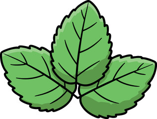 Obraz premium Green Mint Leaves Vector Illustration with Simple Outline Style Natural Herb Design