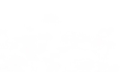 White Png Cloud Transparent Background