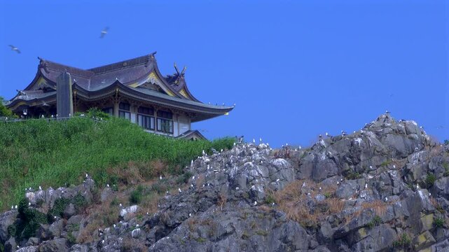 蕪島D