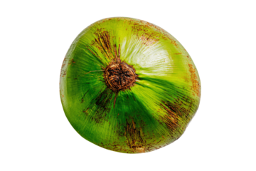 3D Render a green kiwi fruit with a brown center