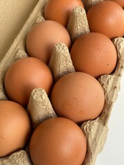 Eggs in tray close up