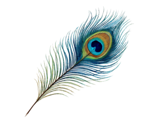Vibrant peacock feather with iridescent eye detail on black background blue green, Isolated, Transparent Png