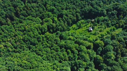 House surrounded by lush mountain forest in a tranquil setting for peaceful retreat
