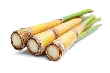 Sugarcane stalks, close-up, white background, nature