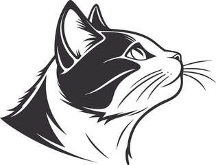 vector image of a cat kitten feline art