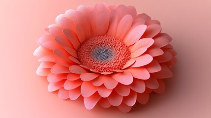 Close-up of pink gerbera flower in bloom

