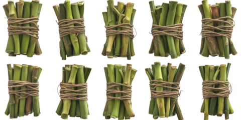 Bundles of Green Stems Tied with Twine on White Background png