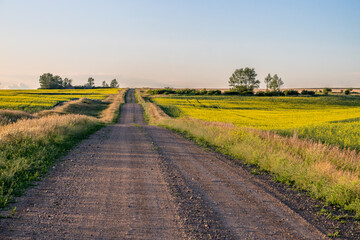 Sunset over a gravel road between fields on the Saskatchewan prairies
