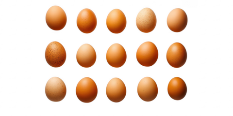 Brown Eggs Arranged on White Background, Food Photography isolated on white png transparent background	