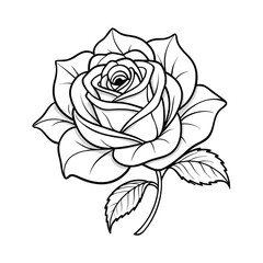 Black and white rose flower illustration, vector line art for tattoo or coloring book.
