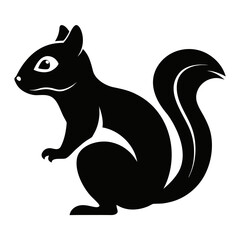 Chipmunk on white background