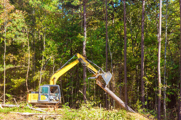 Excavator works industriously to cut down tree in dense forest emphasizing industrial productivity...