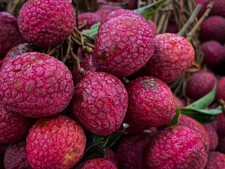 a bunch of red tropical fruits on a branch
