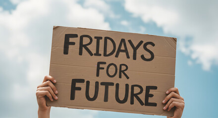 Hand Holding Cardboard Sign with Fridays for Future Message Under Blue Sky